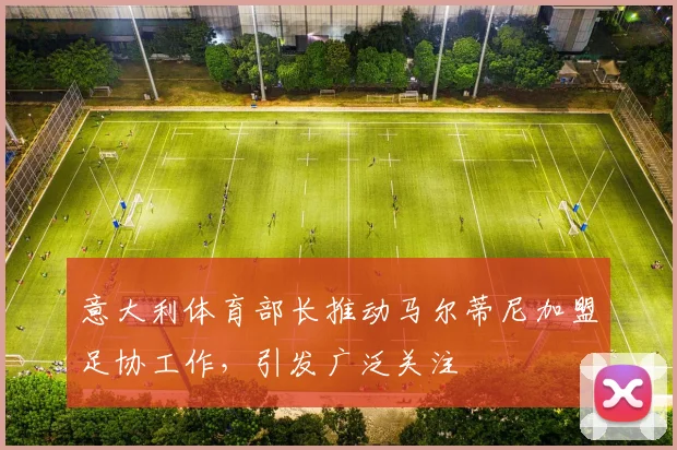意大利体育部长推动马尔蒂尼加盟足协工作，引发广泛关注