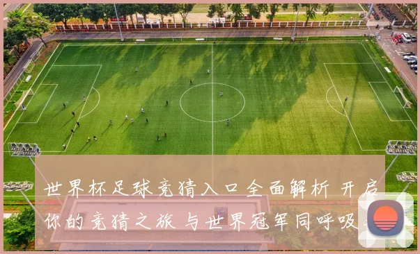 世界杯足球竞猜入口全面解析 开启你的竞猜之旅 与世界冠军同呼吸共命运