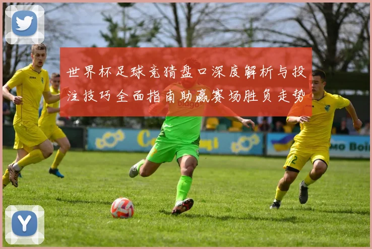 世界杯足球竞猜盘口深度解析与投注技巧全面指南助赢赛场胜负走势预测