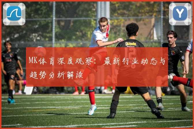 MK体育深度观察：最新行业动态与趋势分析解读