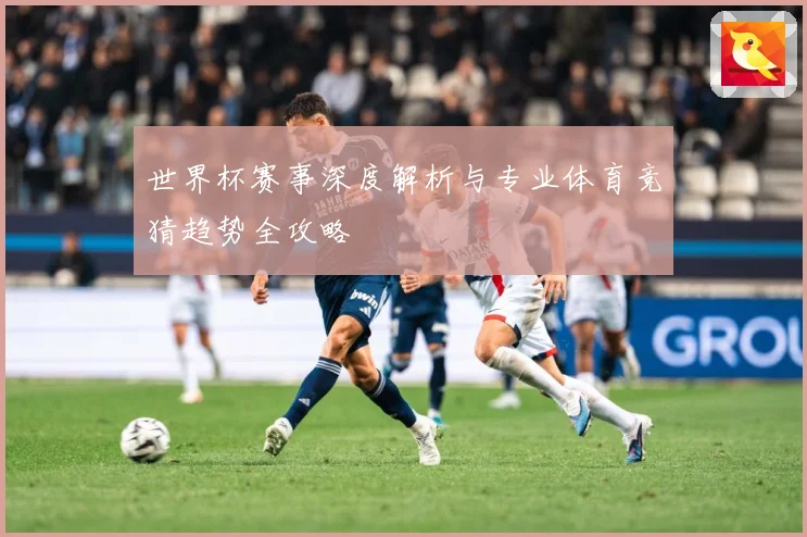 世界杯赛事深度解析与专业体育竞猜趋势全攻略
