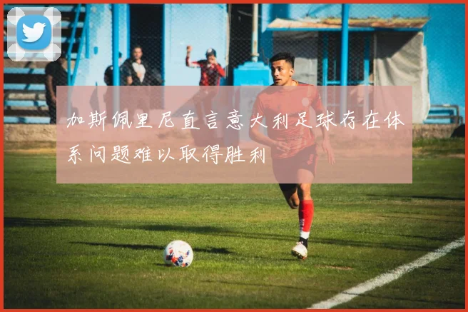 加斯佩里尼直言意大利足球存在体系问题难以取得胜利
